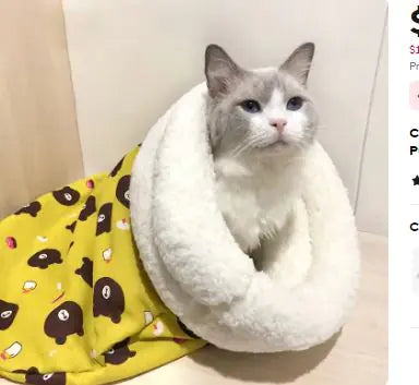 Cat Bed Pet Mattress